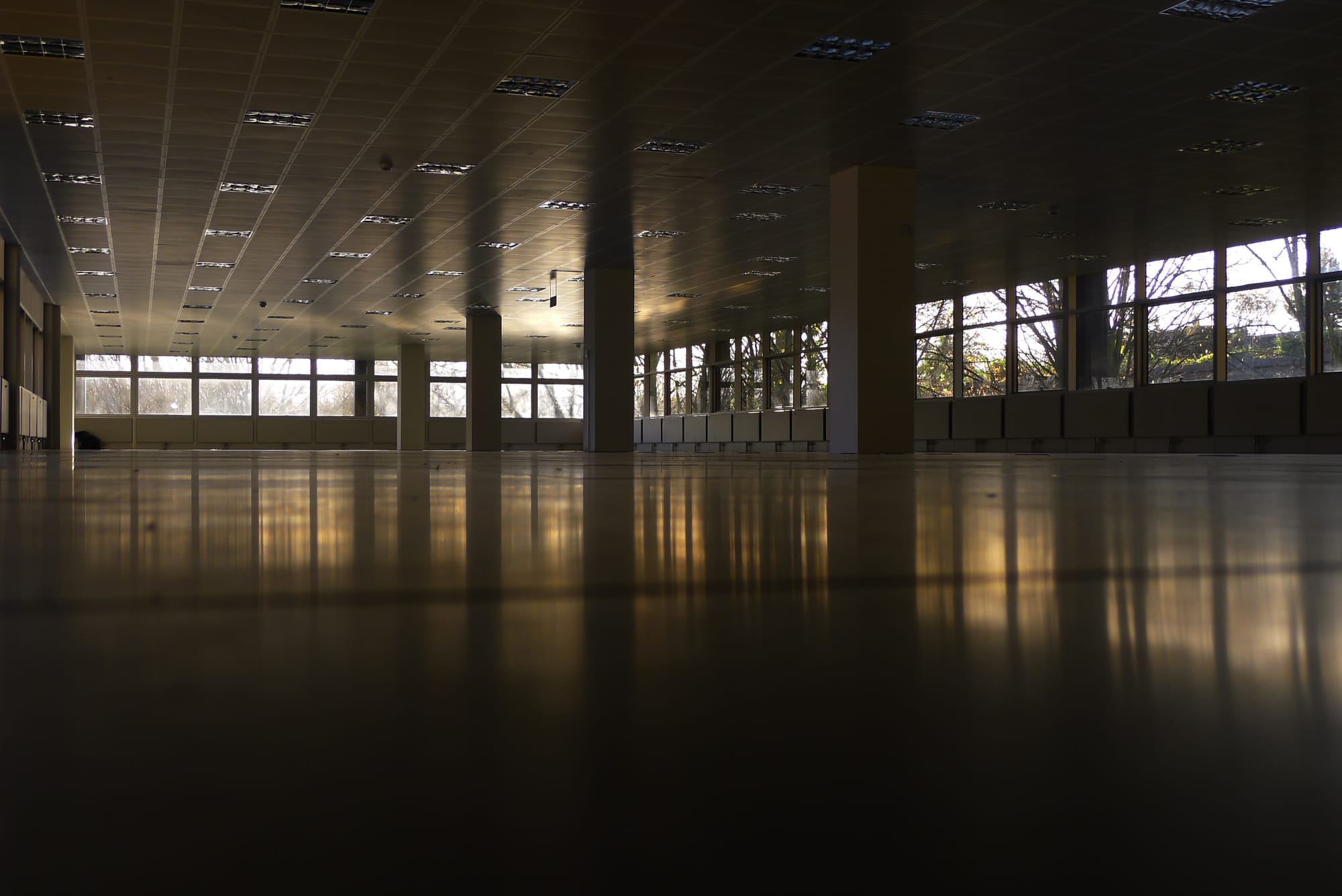 A photo of an empty office space with the late afternoon sun streaming in