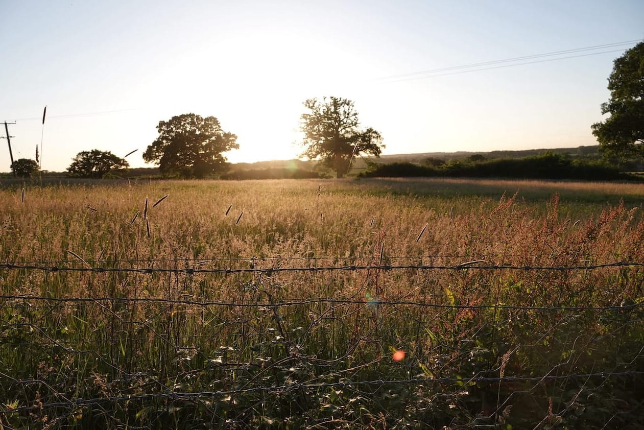 A photo of the sun cresting over the hill in the countryside