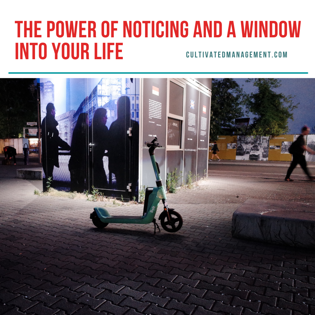 The power of noticing, Berlin and a window into your life