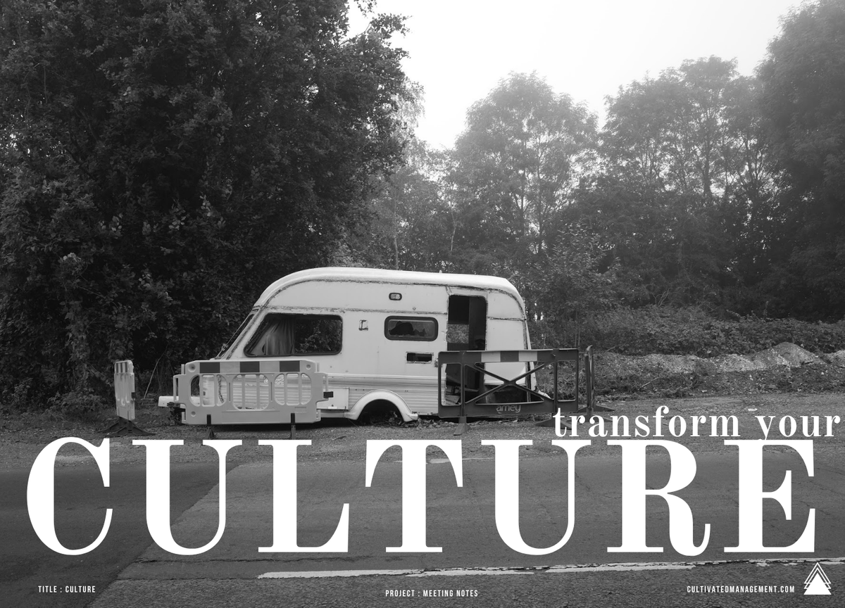 How to Transform Company Culture: Why Behaviours Matter More Than Strategies and Tech