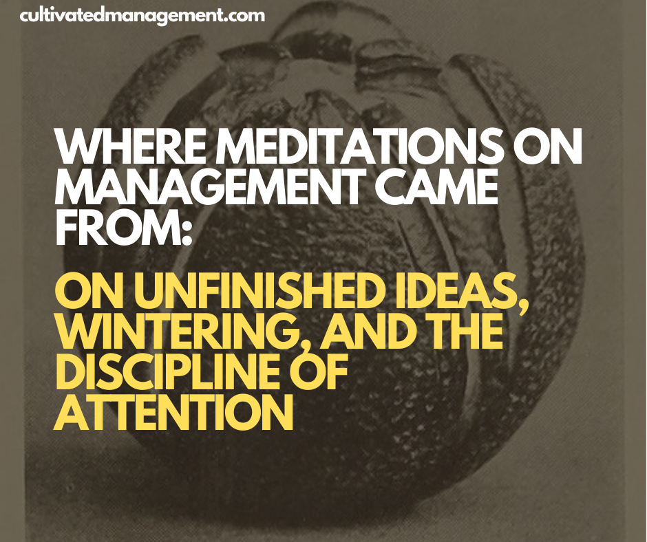 Where Meditations on Management Came From: On unfinished ideas, wintering, and the discipline of attention