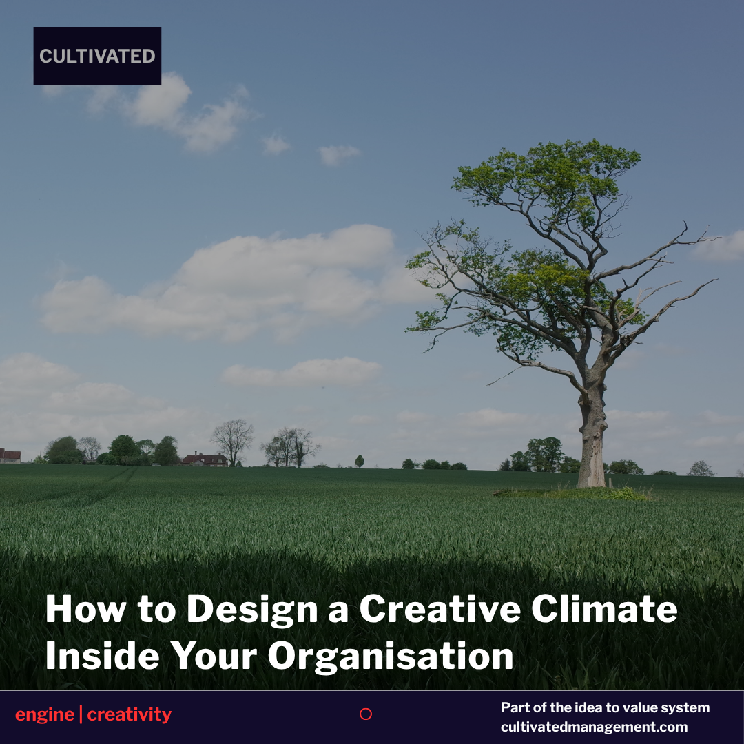 How to Design a Creative Climate Inside Your Organisation