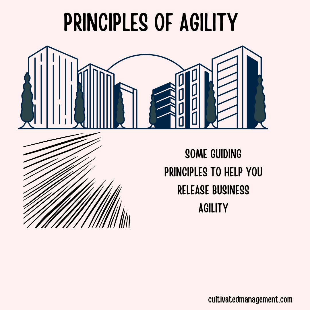 The Principles of Agility - 16 effective principles to consider