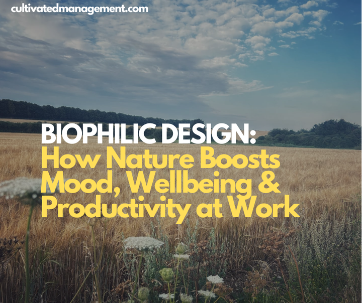 A photo of some flowers in a field with the words Biophilic Design: How Nature Boosts Mood, Wellbeing & Productivity at Work overlaid