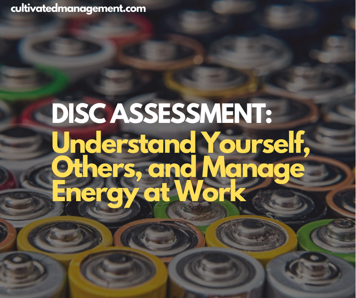 A photo of some batteries with the words overlaid - DISC Assessment: Understand Yourself, Others, and Manage Energy at Work