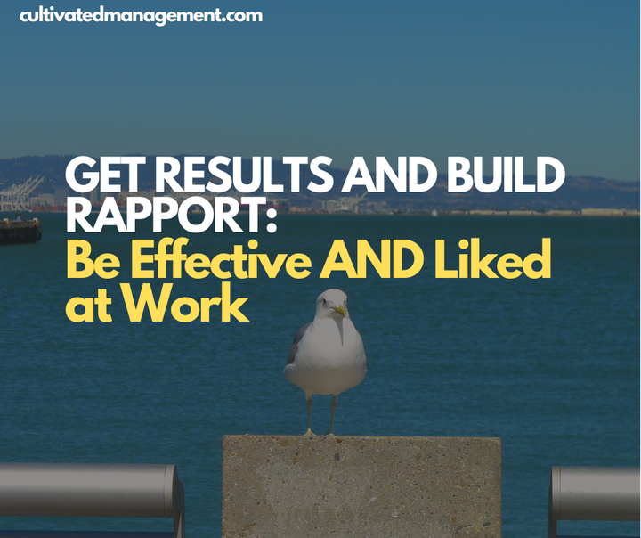 A photograph of a Seagull in San Fran with the words overlaid - Get Results and Build Rapport: Be Effective AND Liked at Work