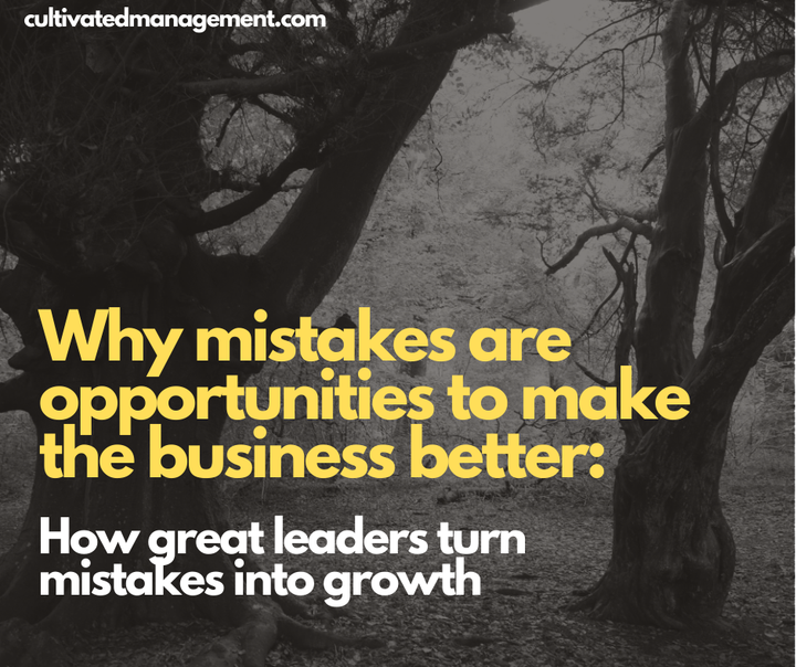 Why mistakes are opportunities to make the business better: How great leaders turn mistakes into growth