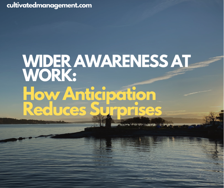 A photo of Oslo water with overlaid text - Wider Awareness at Work: How Anticipation Reduces Surprises