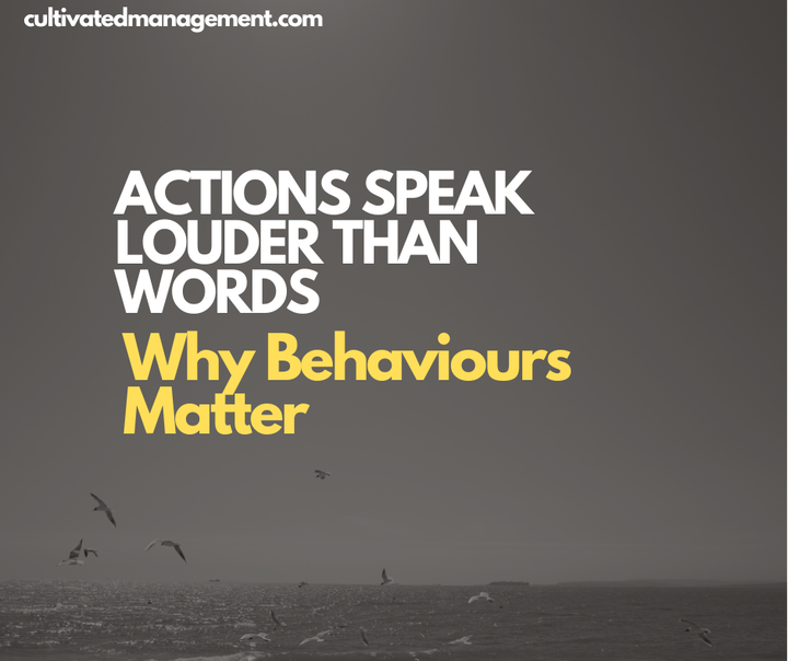 Some seagulls over the sea moving about with the words overlaid- Actions speak louder than words: Why Behaviours Matter