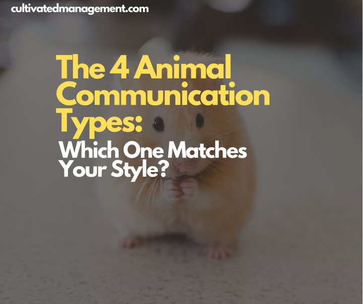 A photo of a mouse with the words overlaid - The 4 Animal Communication Types: Which One Matches Your Style?