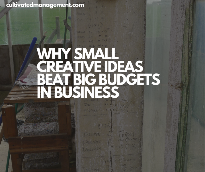 A photo of a Lincolnshire greenhouse with the words overlaid - Why Small Creative Ideas Beat Big Budgets in Business