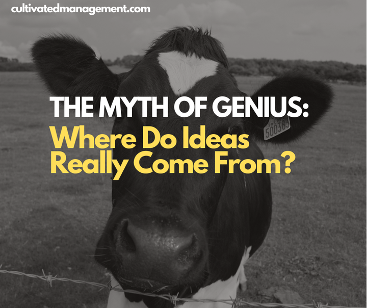 A photo of a cow in a field with the words overlaid - The Myth of Genius: Where Do Ideas Really Come From?