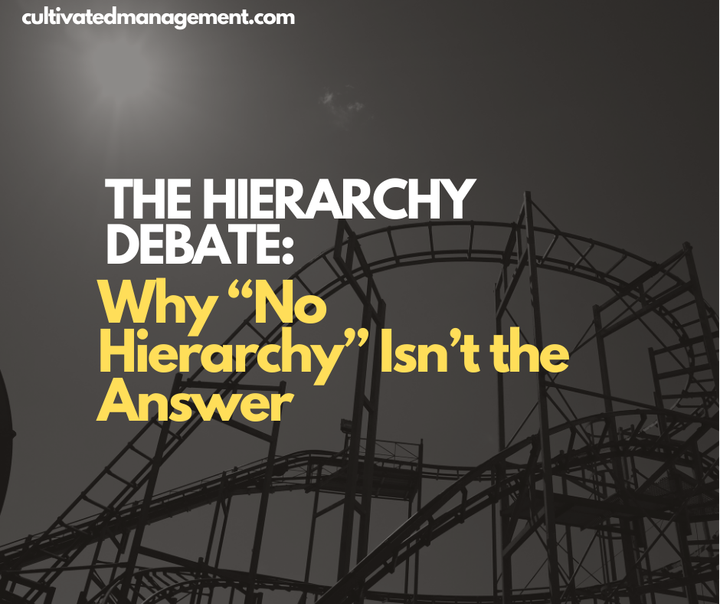 A photo of a rollercoaster with the words overlaid - The Hierarchy Debate: Why “No Hierarchy” Isn’t the Answer