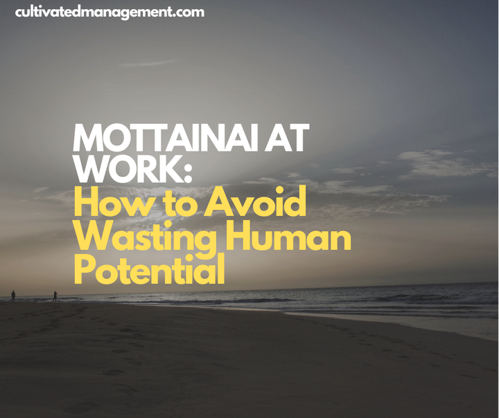 A photo of a seaside with the words overlaid -Mottainai at Work: How to Avoid Wasting Human Potential