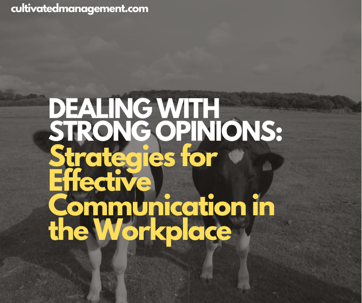 A photo of a cow with the words overlaid - Dealing with Strong Opinions: Strategies for Effective Communication in the Workplace