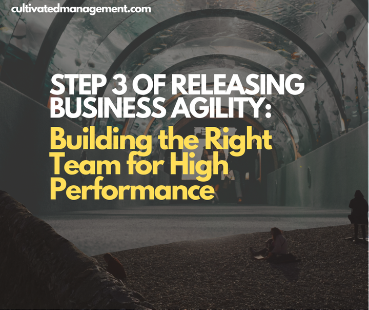 A collage of people sat on a beach watching people in an aquarium with the words overlaid - Step 3 of Releasing Business Agility: Building the Right Team for High Performance