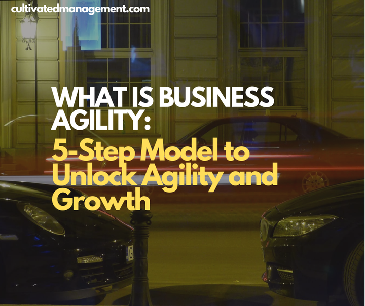 Cars speeding past a window with the words overlaid - What is Business Agility: 5-Step Model to Unlock Agility and Growth