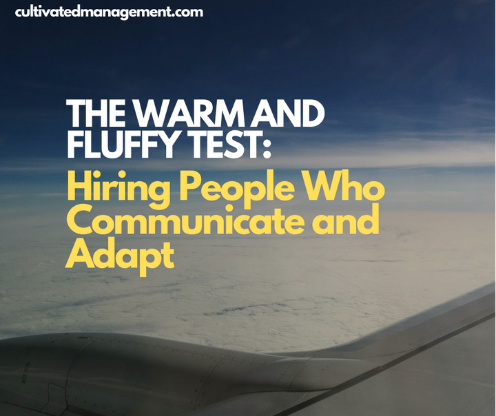 A photo of fluffy clouds with the words overlaid - The Warm and Fluffy Test: Hiring People Who Communicate and Adapt