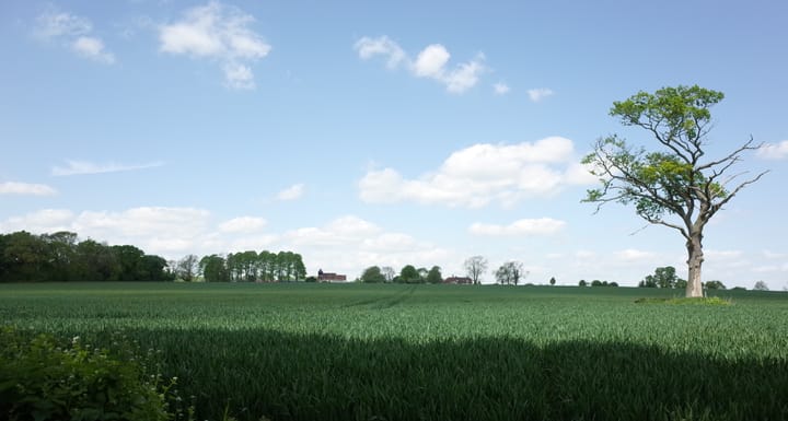 A photo of a field at Farley Church, Winchester, Hampshire