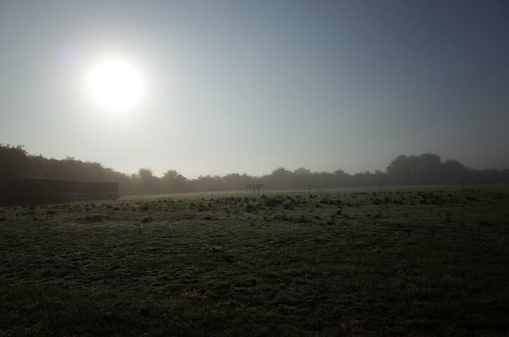 A photo of a field with the sun setting.