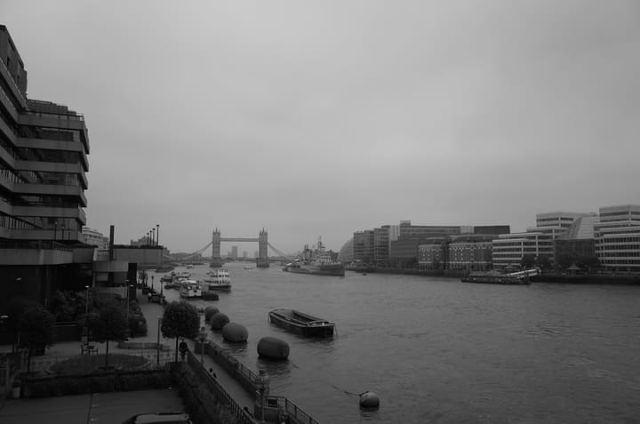 The Eight Intelligences We Need at Work