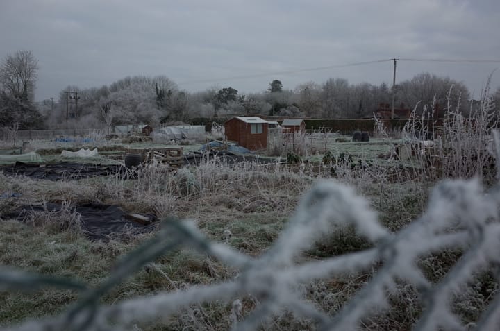 A frosty allotment in Winchester