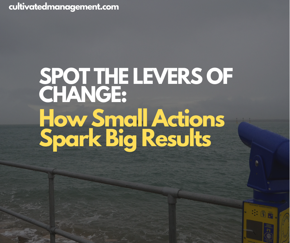 A photo of a lookout point in Southsea with the words overlaid - Spot The Levers of Change: How Small Actions Spark Big Results