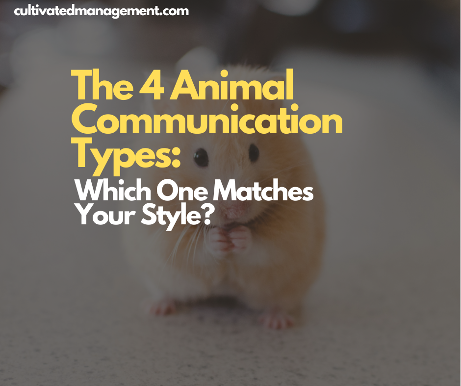 A photo of a mouse with the words overlaid - The 4 Animal Communication Types: Which One Matches Your Style?