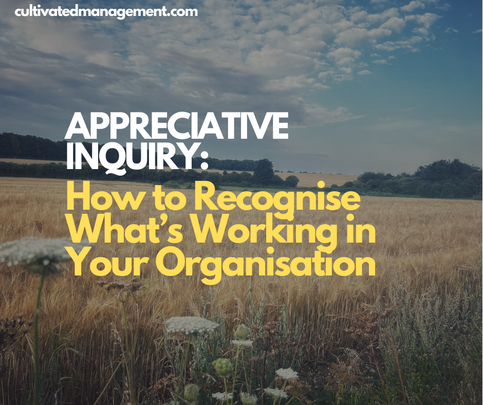 A photo of some flowers in a field with the words overlaid - Appreciative Inquiry: How to Recognise What’s Working in Your Organisation