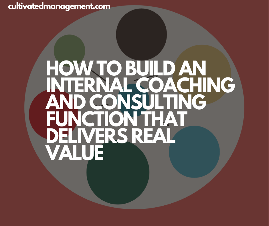 A diagram with circles on it with the words overlaid - How to Build an Internal Coaching and Consulting Function That Delivers Real Value
