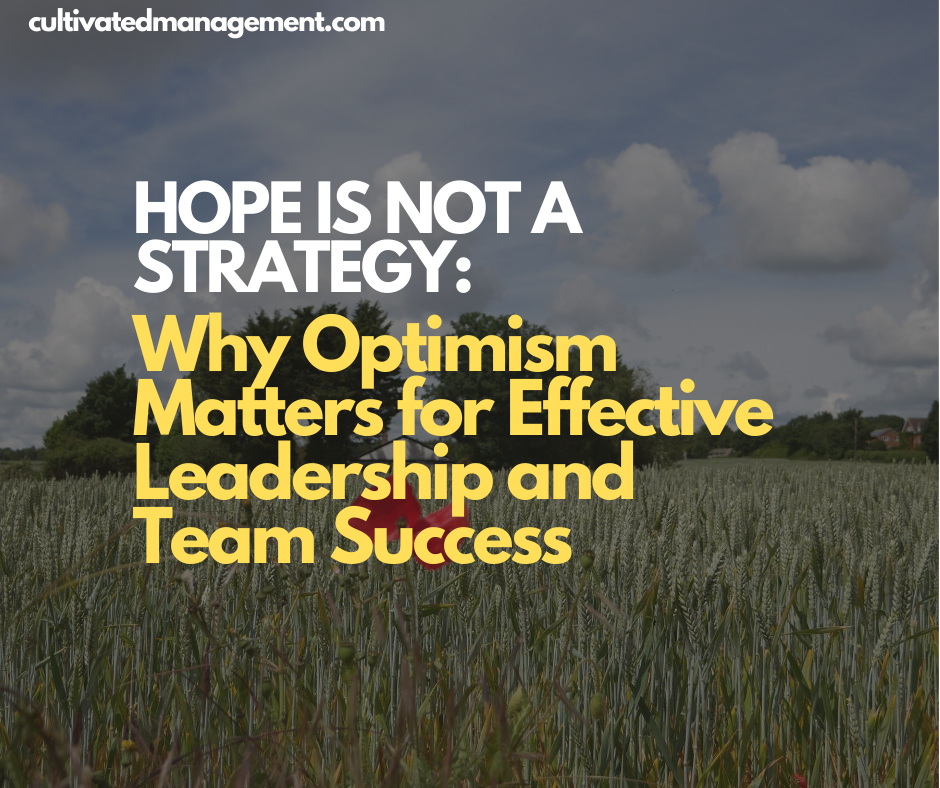 A photo of a poppy in a field with the words overlaid - Hope Is Not a Strategy: Why Optimism Matters for Effective Leadership and Team Success