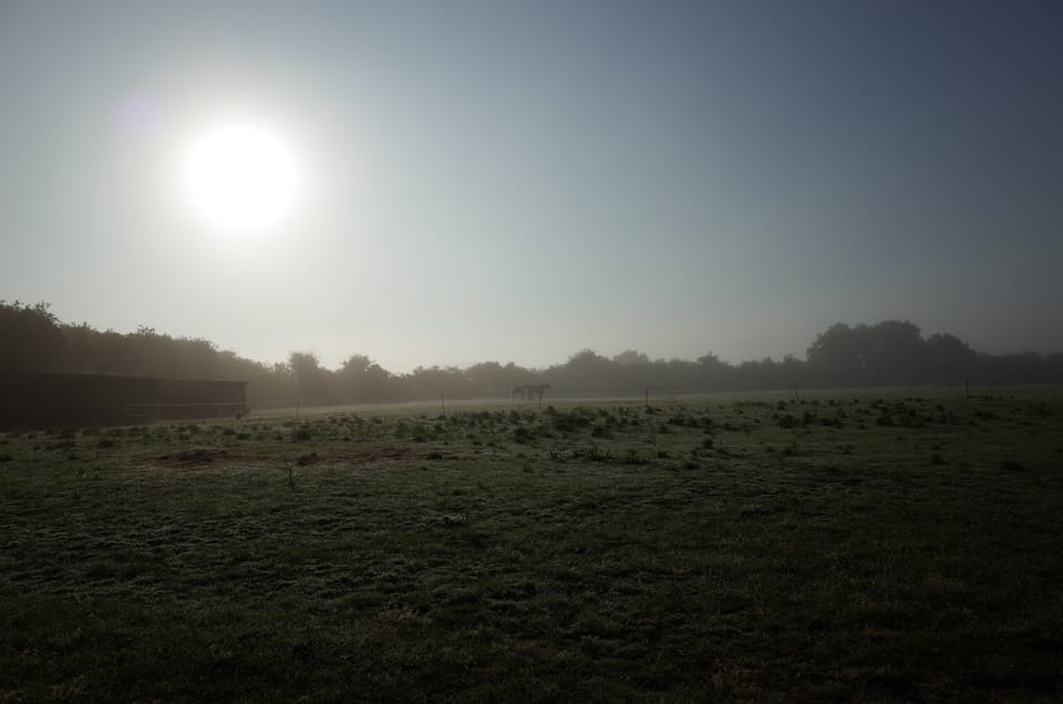 A photo of a field with the sun setting.